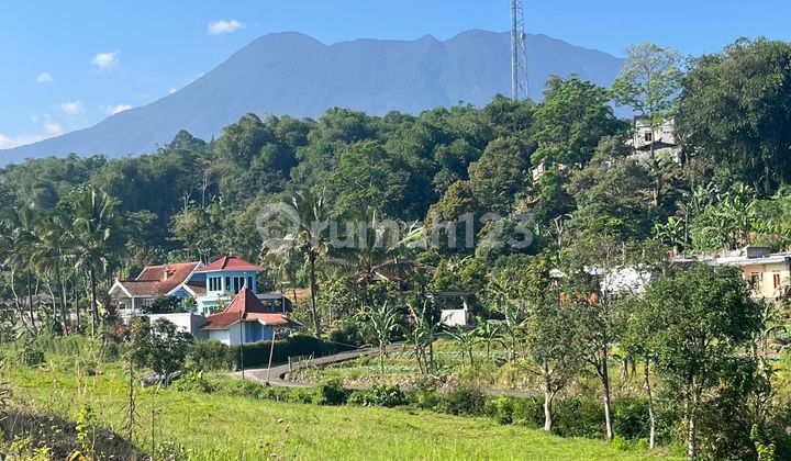 Dijual Tanah Shm Luas 3000m2 Puncak Cisarua Bogor