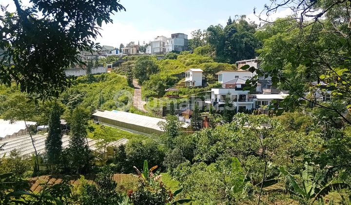 Di Jual Tanah Murah Legalitas Shm Di Megamendung Bogor Di Jual Tanah Murah Legalitas Shm Di Megamendung Bogor