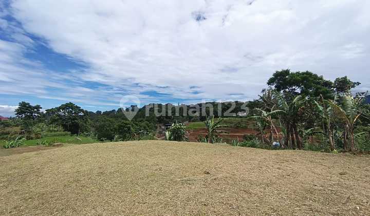 Jual Tanah SHM di Cisarua Puncqk Bogor SHM
