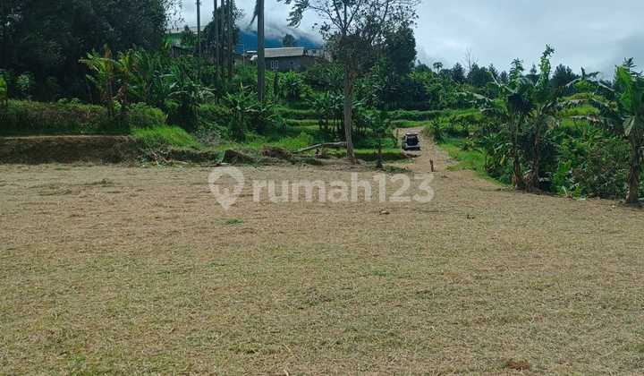For Sale Freehold Land Ready to Build in Cisarua, Puncak, Bogor For Sale Freehold Land Ready to Build in Cisarua, Puncak, Bogor