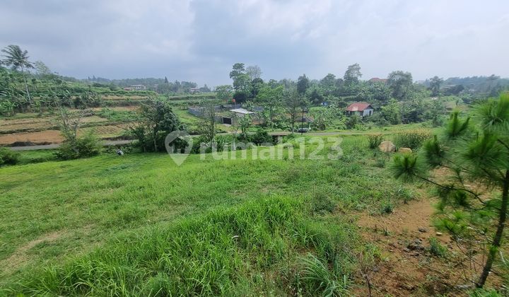 Dijual Tanah Shm Strategis Dicisarua Puncak Bogor Dijual Tanah Shm Strategis Dicisarua Puncak Bogor