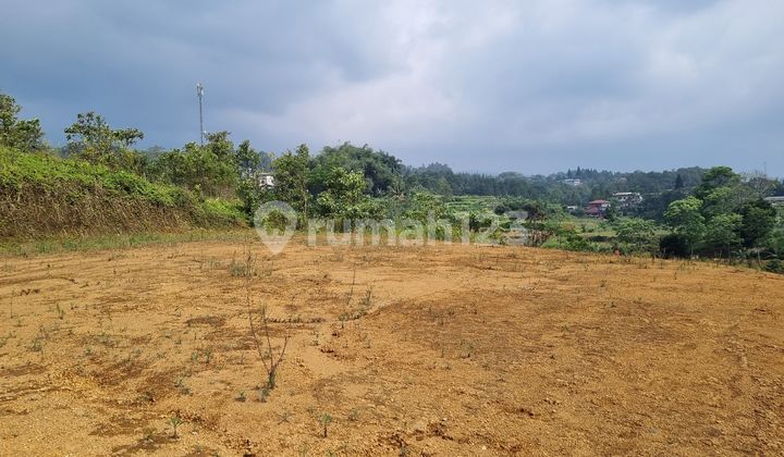 Miliki Tanah Hak Milik Dicisarua Puncak Bogor Miliki Tanah Hak Milik Dicisarua Puncak Bogor