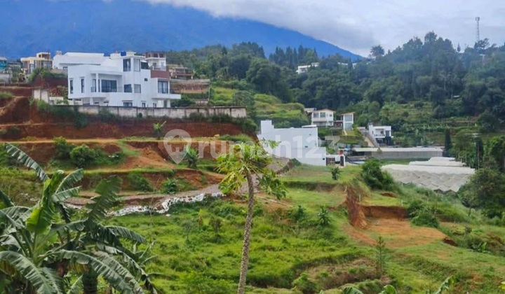 Dijual Tanah Shm Di Megamendung Bogor Dijual Tanah Shm Di Megamendung Bogor