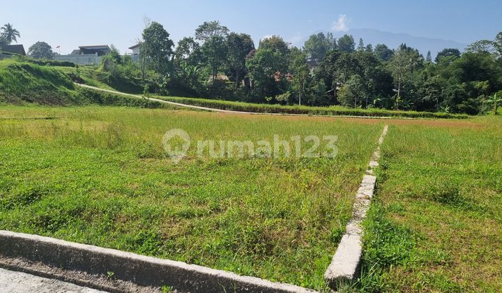 Jual Tanah Shm Siap Bangun Di Megamendung Puncak.bogor