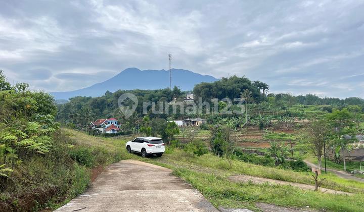Dijual Tanah Luas 500m2 Di Cisarua Puncak Bogor Dijual Tanah Luas 500m2 Di Cisarua Puncak Bogor