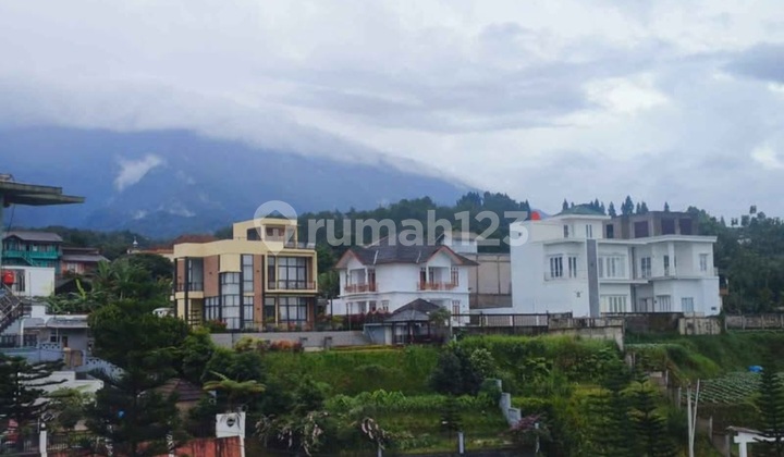 Dijual Tanah Shm Di Megamendung Bogor Dijual Tanah Shm Di Megamendung Bogor