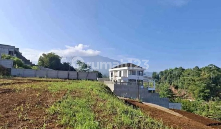 Di Jual Tanah Shm Dicisarua Puncak Bogor Di Jual Tanah Shm Dicisarua Puncak Bogor