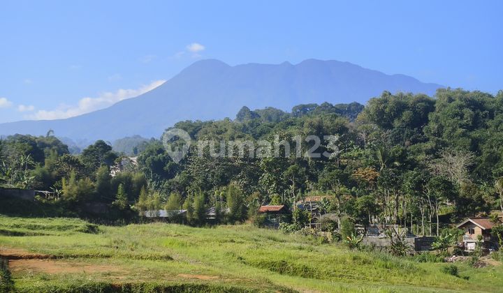 For Sale Cheap Land SHM in Cisarua, Puncak, Bogor For Sale Cheap Land SHM in Cisarua, Puncak, Bogor