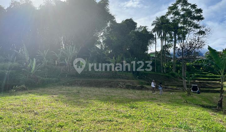 Tanah Strategis Dicisarua Puncak Bogor Legalitas SHM