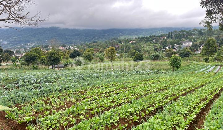 Dijual Tanah Di Cisarua Puncak Bogor Siap Bangun Shm Dijual Tanah Di Cisarua Puncak Bogor Siap Bangun Shm