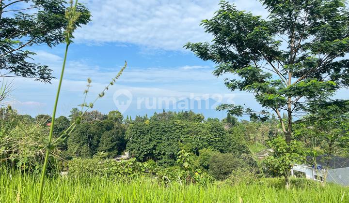 Dijual Tanah Luas 510m2 Shm Di Megamendung Puncak Bogor Dijual Tanah Luas 510m2 Shm Di Megamendung Puncak Bogor
