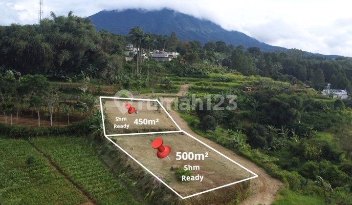 For Sale Freehold Land Ready to Build in Cisarua, Puncak, Bogor For Sale Freehold Land Ready to Build in Cisarua, Puncak, Bogor