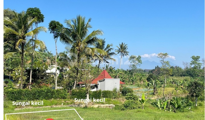 Di Jual Tanah SHM Dicisarua Puncak Bogor