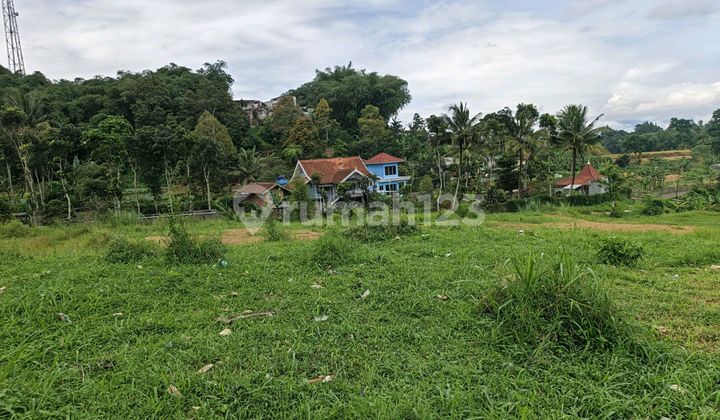 For Sale: 440M² Land in Cisarua Puncak Bogor For Sale: 440M² Land in Cisarua Puncak Bogor