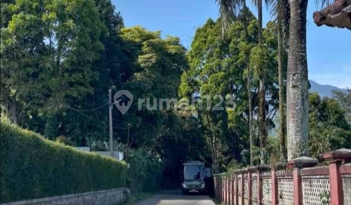 Dijual Tanah Hak Milik Dicisarua Puncak Bogor Dijual Tanah Hak Milik Dicisarua Puncak Bogor