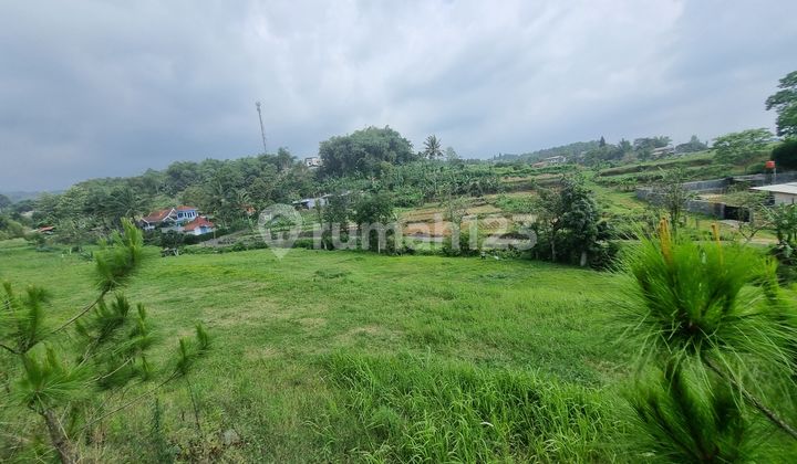 Dijual Tanah Murah Di Cisarua Puncak Bogor Dijual Tanah Murah Di Cisarua Puncak Bogor