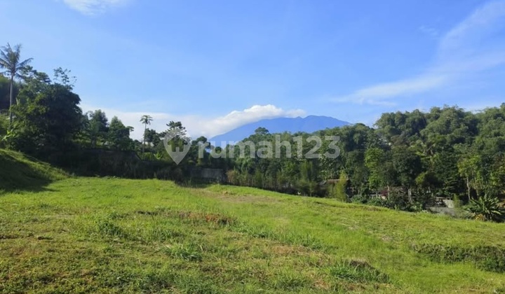 Land for Sale. Ready to Build in Cisarua Puncak Bogor.