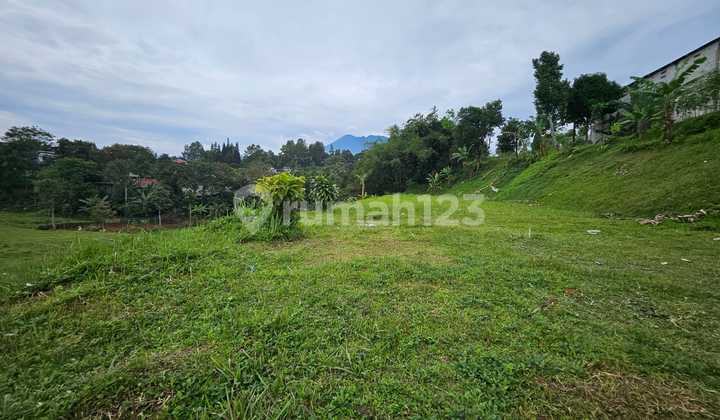 Land For Sale Ready To Build In Megamendung Puncakbogor
