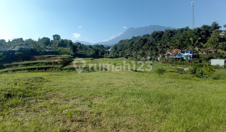 Dijual Tanah Hak Milik Siap Bangun Di Cisarua Puncak Bogor
