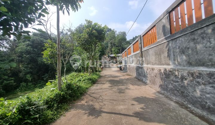 Dijual Tanah Luas 1000 Meter Dipuncak Cisarua Bogor Dijual Tanah Luas 1000 Meter Dipuncak Cisarua Bogor