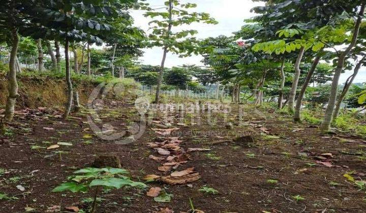 Tanah Luas di Lembang Bandung Barat Boleh di Check Dulu 2