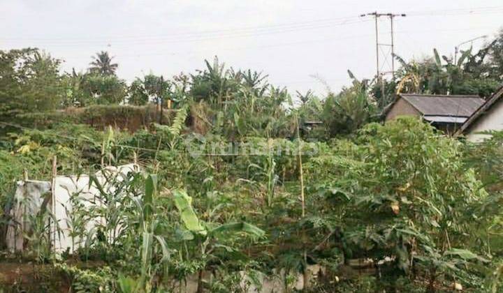 Di Jual Tanah Area Cihaul Babakan Bandung Sukabumi 2