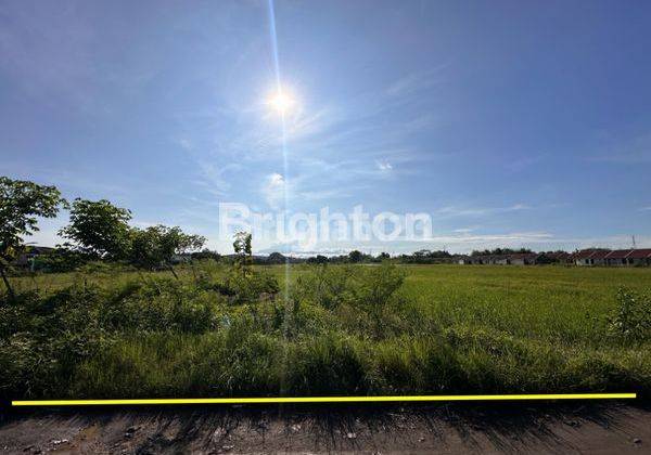 Tanah Murah Solo Cemani Dekat Solo Baru Grogol Sukoharjo 1