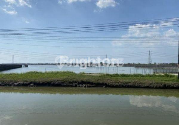 Tanah Zona Industri Dekat Tol Sayung Semarang Demak