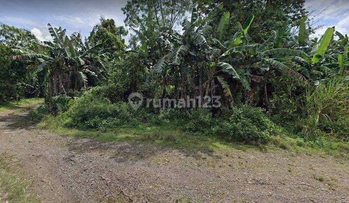 Jual Murah Tanah Rp. 300rb Per m² di Gunung Sindur, 30 Menit Ke Ciseeng, Bogor. 1