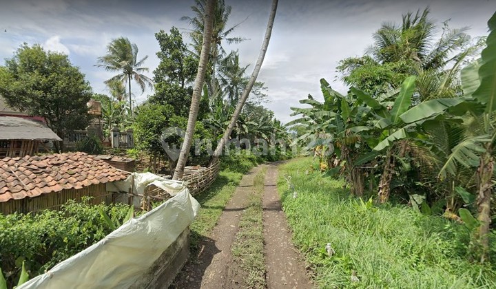 Jual Murah Tanah Rp. 300rb Per m² di Gunung Sindur, 30 Menit Ke Ciseeng, Bogor. 1