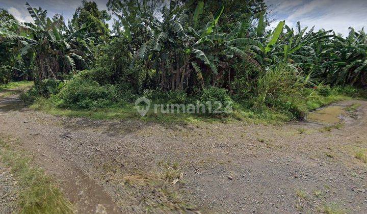 Jual Murah Tanah Rp. 300rb Per m² di Gunung Sindur, 30 Menit Ke Pasar Parung. 5