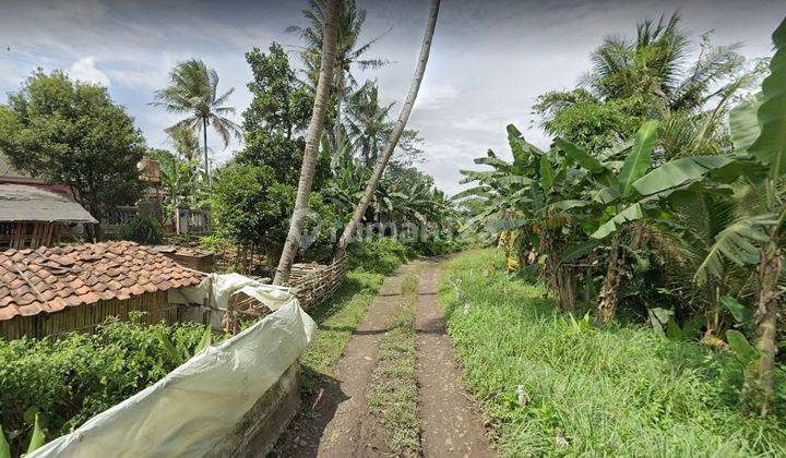 Jual Murah Tanah Rp. 300rb Per m² di Gunung Sindur, 30 Menit Ke Puspitek, Muncul. 2