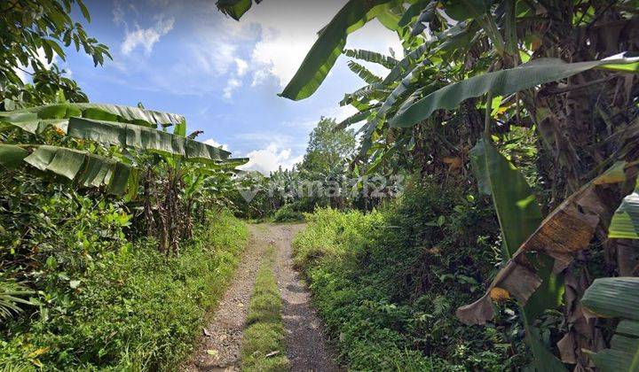 Jual Murah Tanah Rp. 300rb Per m² di Gunung Sindur, 30 Menit Ke Ciseeng, Bogor. 1