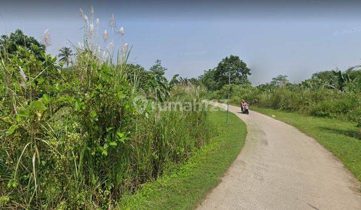 Jual Murah Tanah Rp. 300rb Per m² di Gunung Sindur, 30 Menit Ke Ciseeng, Bogor. 4