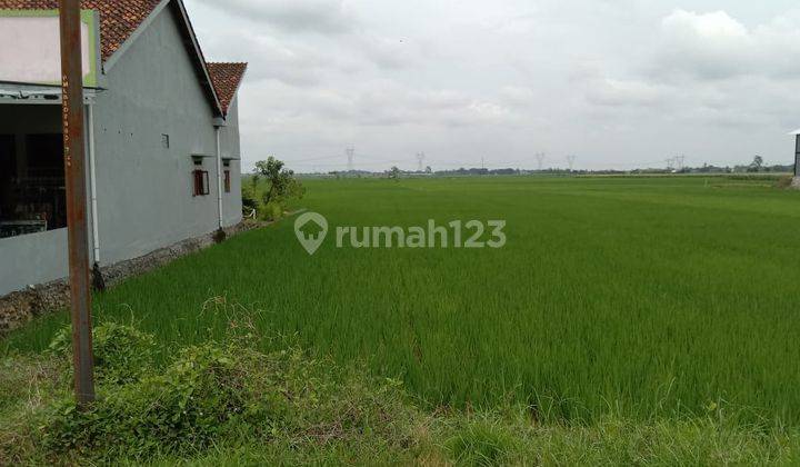 Tanah Sawah 3020 Gondang 1