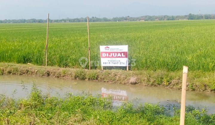 Tanah Sawah di Daerah Gebangkerep 2