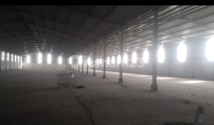 New Matangan Warehouse