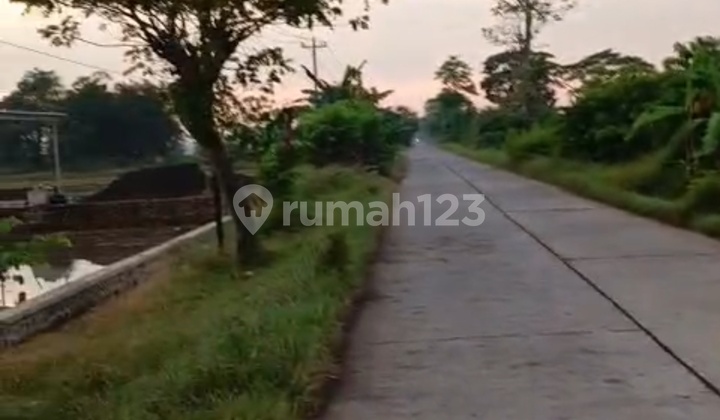 Strategic Paddy Field 2118m Strategic Paddy Field 2118m