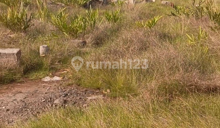 Tanaj Sebelah Rm Pantai Sari Tanaj Sebelah Rm Pantai Sari