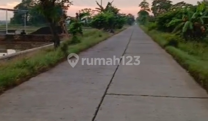 Strategic Paddy Field 2118m Strategic Paddy Field 2118m