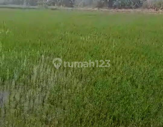 Tanah Kavling di Lingkar Timur, Sidoarjo Harga Covid 1