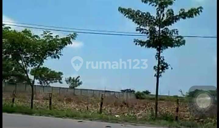 Dijual Tanah Kecamatan Widang Zona lll Industri Tuban Dijual Tanah Kecamatan Widang Zona lll Industri Tuban