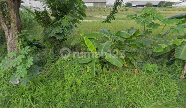 Land Plot for Sale in Cangkir, Driyorejo