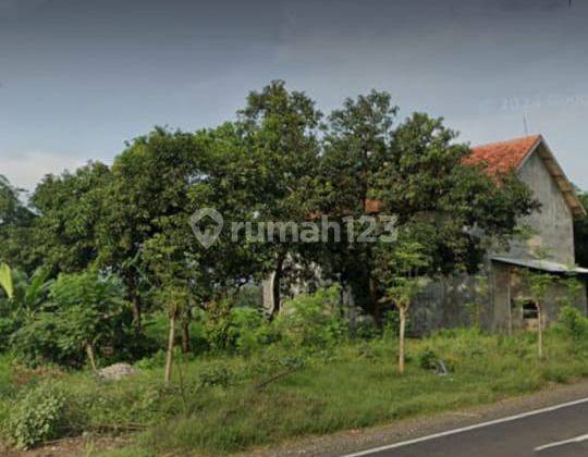 Kavling Tanah Nol Jalan Raya Nguling Sedarum Pasuruan 1