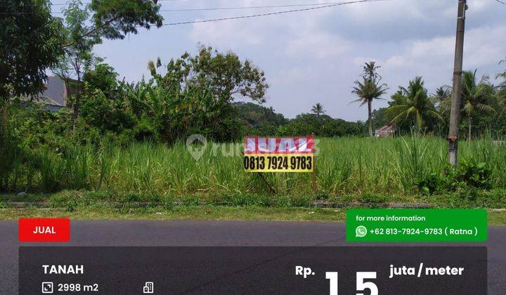 Tanah luas poros jalan raya Panarukan Kepanjen 1