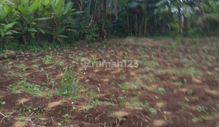 Tanah Strategis Fasilitas Lengkap di Tanah Sereal, Kemang, Bogor 2
