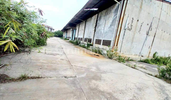 Termurah Dijual Dibawah NJOP, Gudang Cilincing Jakarta Utara Termurah Dijual Dibawah NJOP, Gudang Cilincing Jakarta Utara
