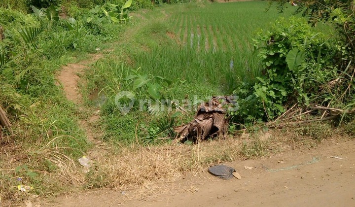 9 Land for Sale Ready to Build in Pandeglang, Banten