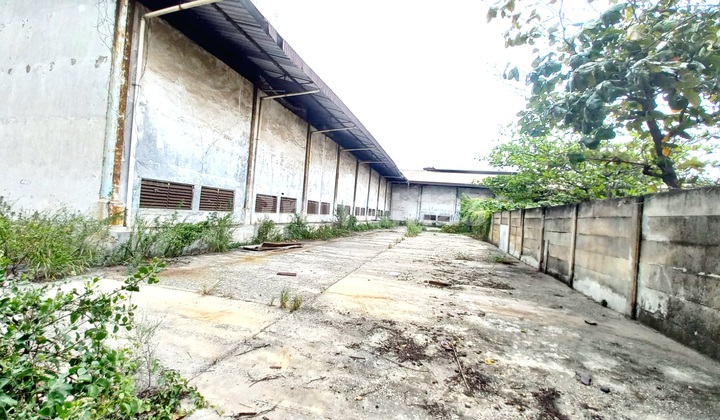 Termurah Dijual Dibawah NJOP, Gudang Cilincing Jakarta Utara
