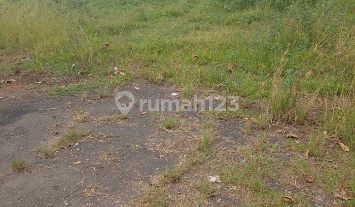 4 Dijual Tanah Darat Kab. Bekasi Raya Jawa Barat Kp.pulo Bisa Untuk Tempat Usaha 